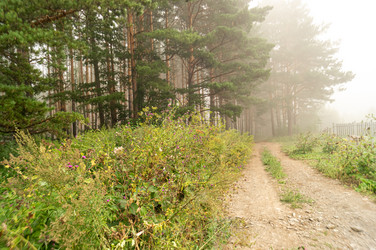 Similar image 21246418