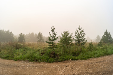 Similar image 21246306