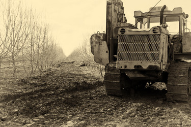 Similar image 21238967