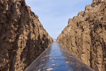 Similar image 21239551