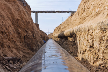 Similar image 21239552