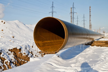 Similar image 21239553