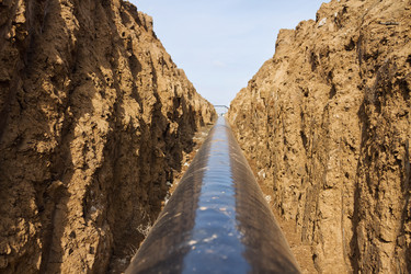 Similar image 21239554