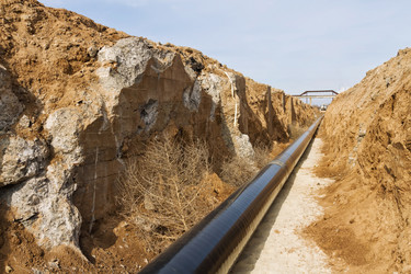 Similar image 21239556