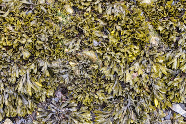 Similar image 21215170