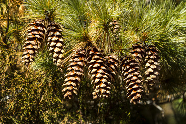 Similar image 21215176