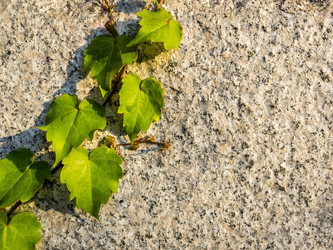 Similar image 21215190