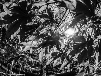 Similar image 21215191