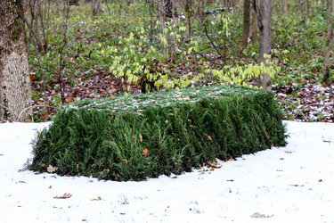 Similar image 21215196