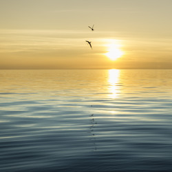 Similar image 21215199