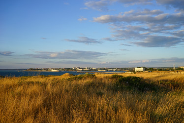 Similar image 21215900