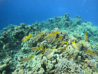 Similar image 21221080