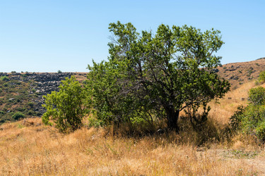 Similar image 21224379