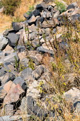 Similar image 21224381