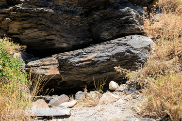 Similar image 21224386