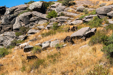 Similar image 21224391