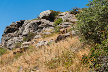 Similar image 21224394