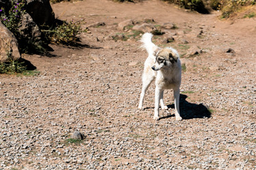 Similar image 21224398