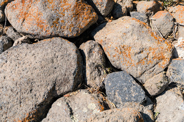 Similar image 21216946