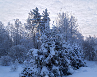 Similar image 21218420