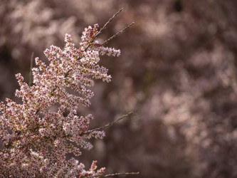 Similar image 21224179