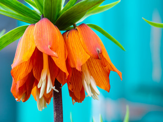 Similar image 21224414