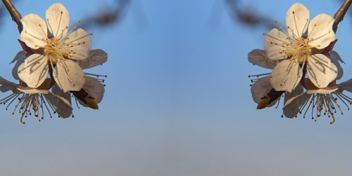 Similar image 21224415