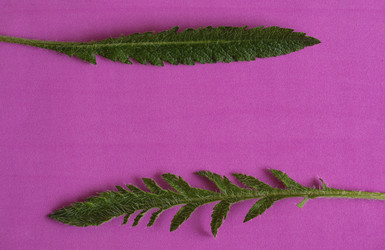 Similar image 21224416