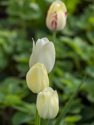 Similar image 21224422