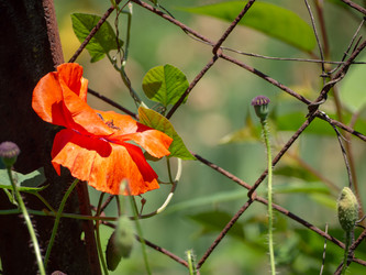 Similar image 21224180