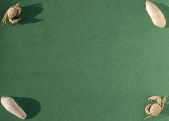 Similar image 21224424