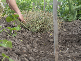 Similar image 21224425