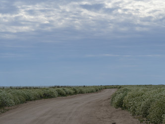 Similar image 21224430