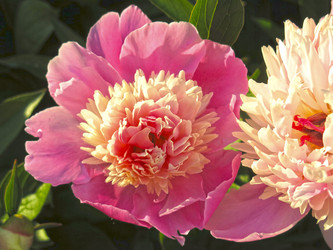 Similar image 21217675