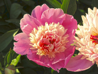 Similar image 21217678