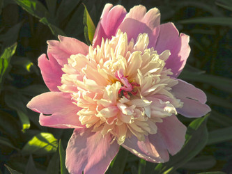 Similar image 21217680