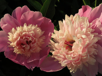 Similar image 21217681