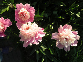 Similar image 21217682