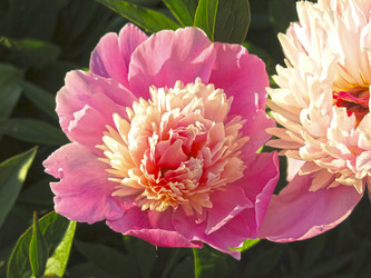 Similar image 21217683