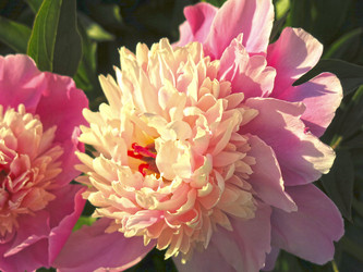 Similar image 21217685