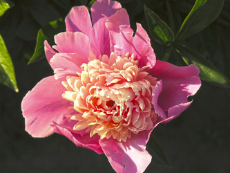 Similar image 21217686