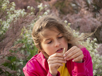 Similar image 21224434