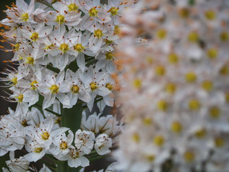 Similar image 21224435