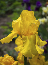 Similar image 21224436