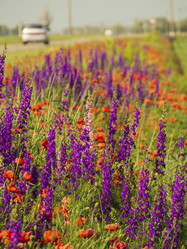 Similar image 21224437