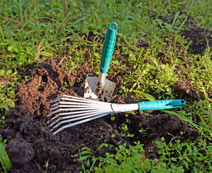 Similar image 21219509