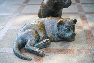 Similar image 21216958