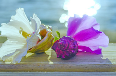 Similar image 21225626