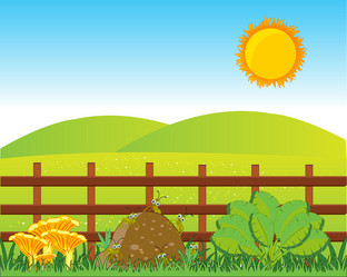 Similar image 21248013