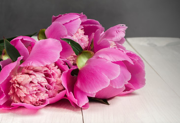 Similar image 21223232